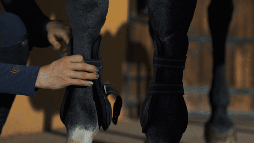 Material Care for Sustainability: Equestrian Gears - Re:claim Washing Detergent