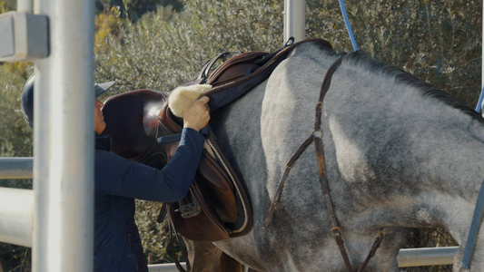 Take care of the horse quilt, then it will last for many years