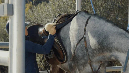 Take care of the horse quilt, then it will last for many years - Re:claim Washing Detergent
